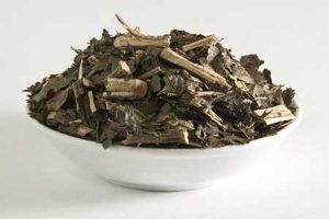 cha de bugre beneficios