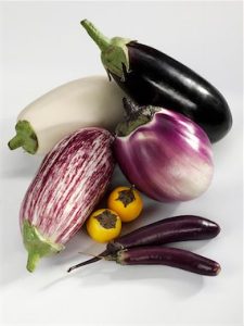 benefícios da berinjela