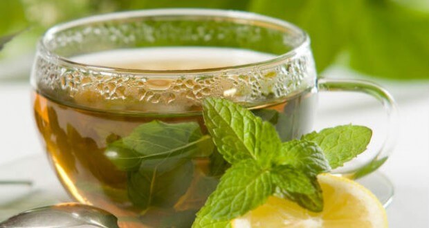 Benefícios do chá do boldo: cuidados, para que é bom e mais.