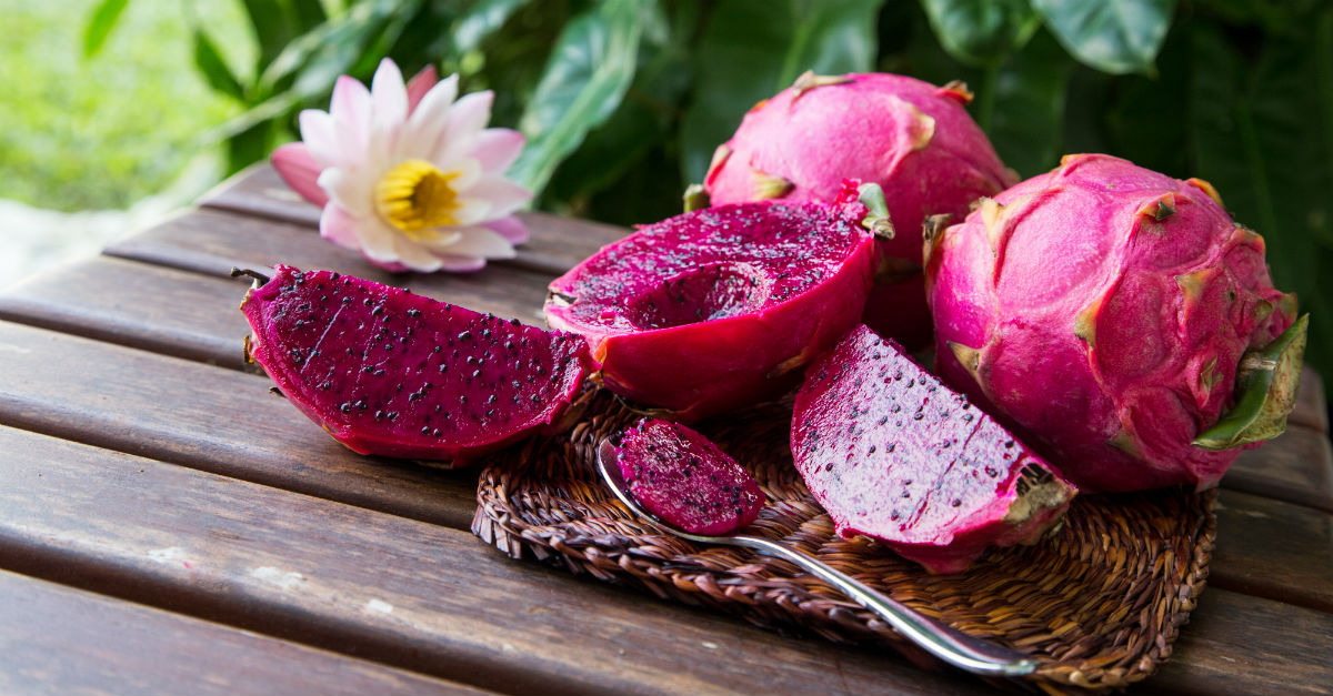 Pitaya Vermelha é uma ótima aliada para a saúde; veja benefícios 