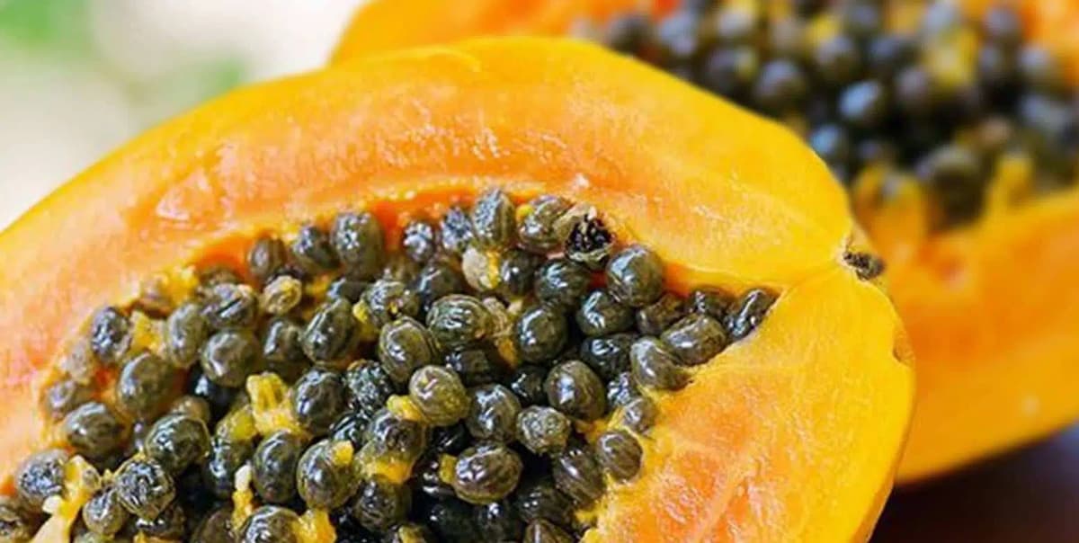 Posso comer semente do mamão? Descubra se isso não é um problema 