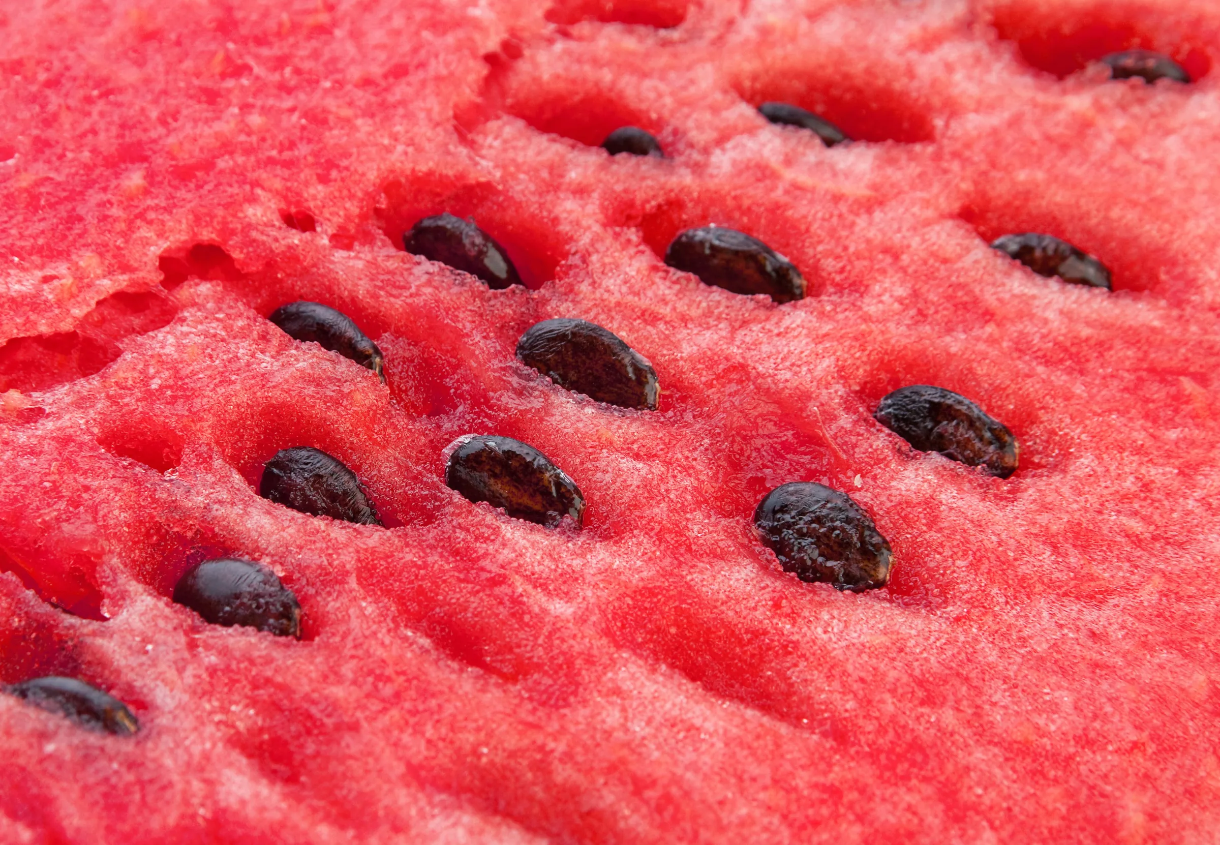 sementes de melancia em foco