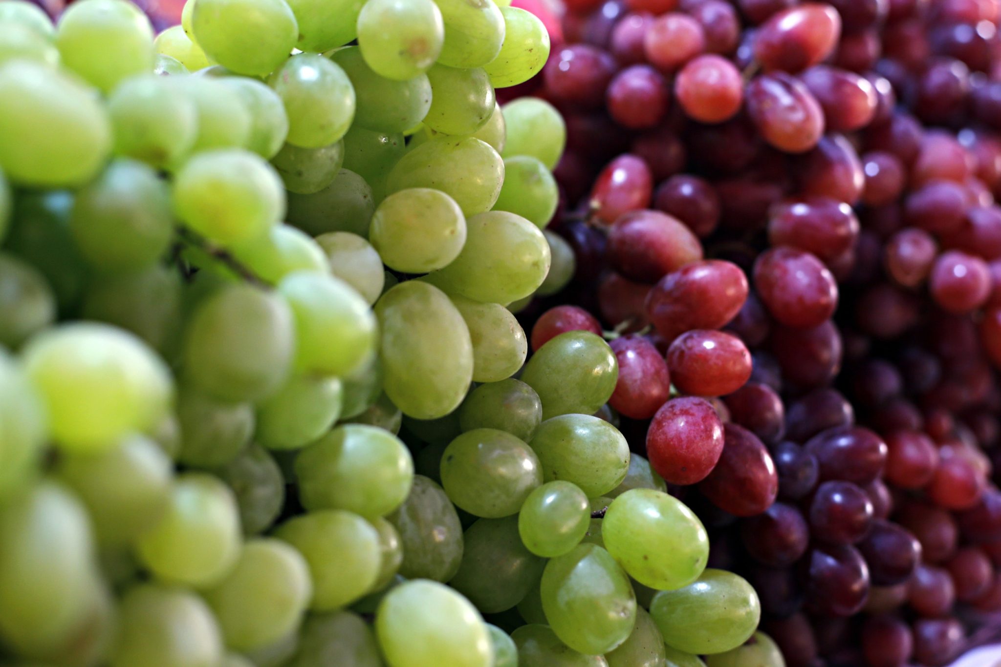 Posso consumir casca da uva sem medo? Nutri tira sua dúvida!