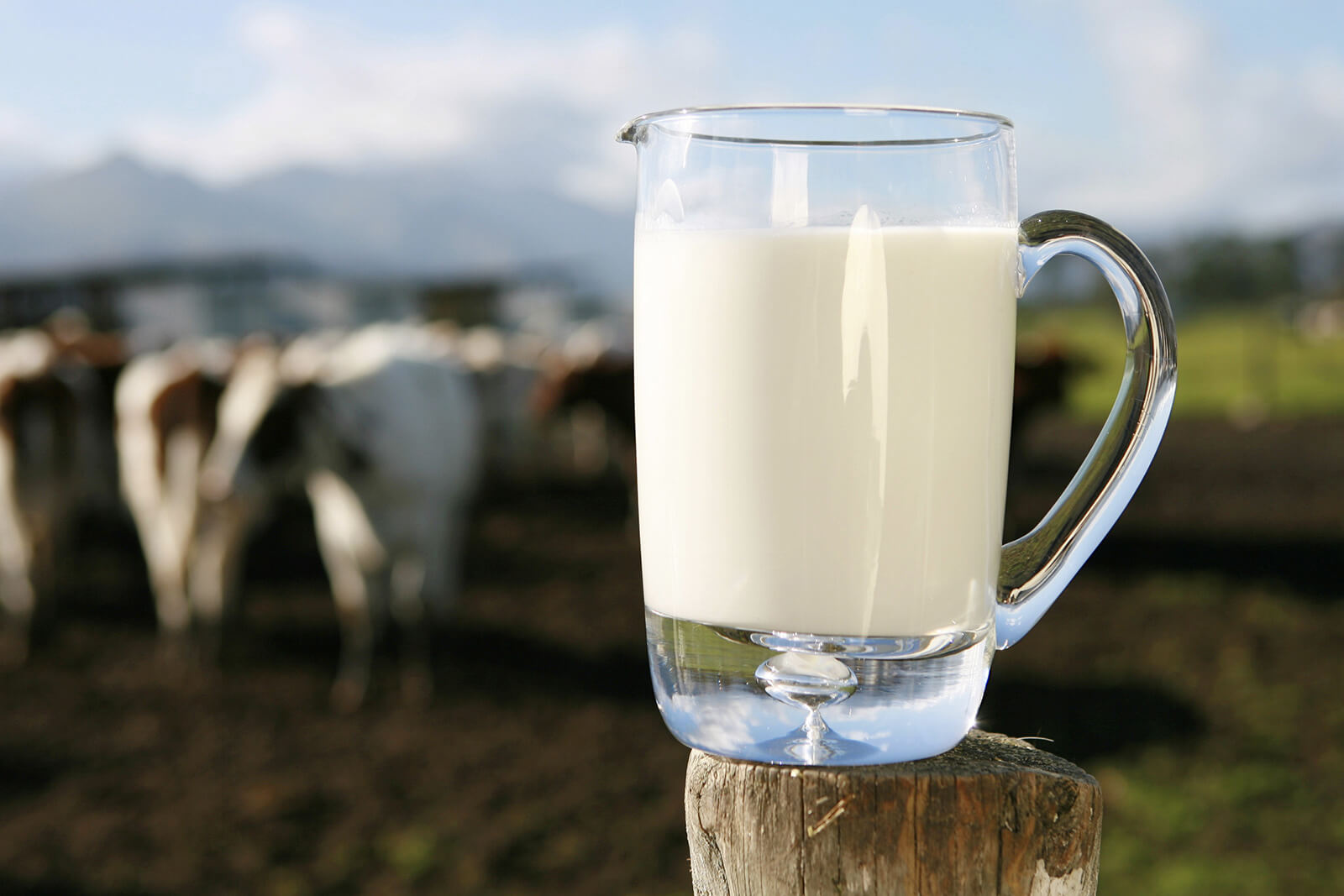 Preciso cortar o leite da dieta? Entenda quando é necessário 