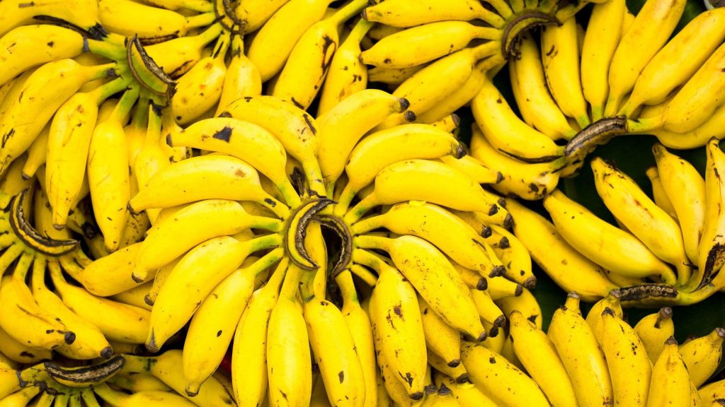 Tipos de banana