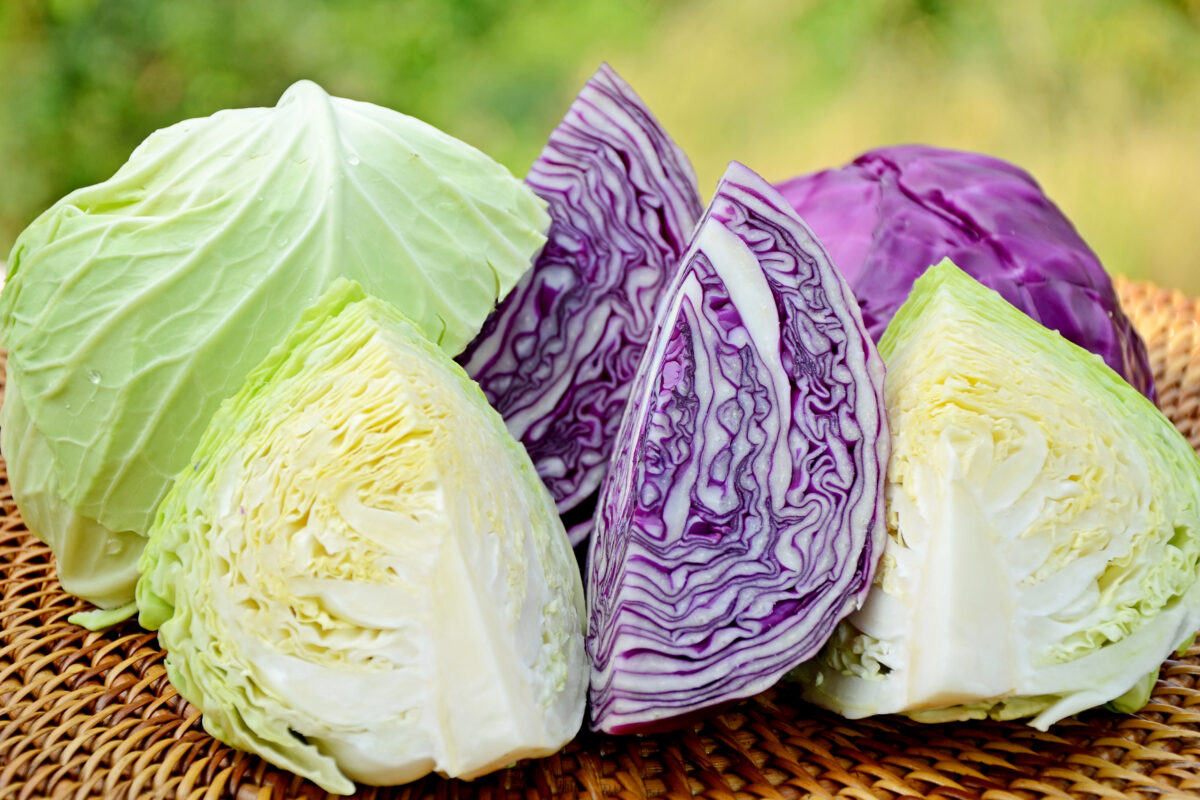 Verduras, Legumes e Seus Benefícios: Repolho roxo ou repolho branco: Qual deles é melhor para você? 